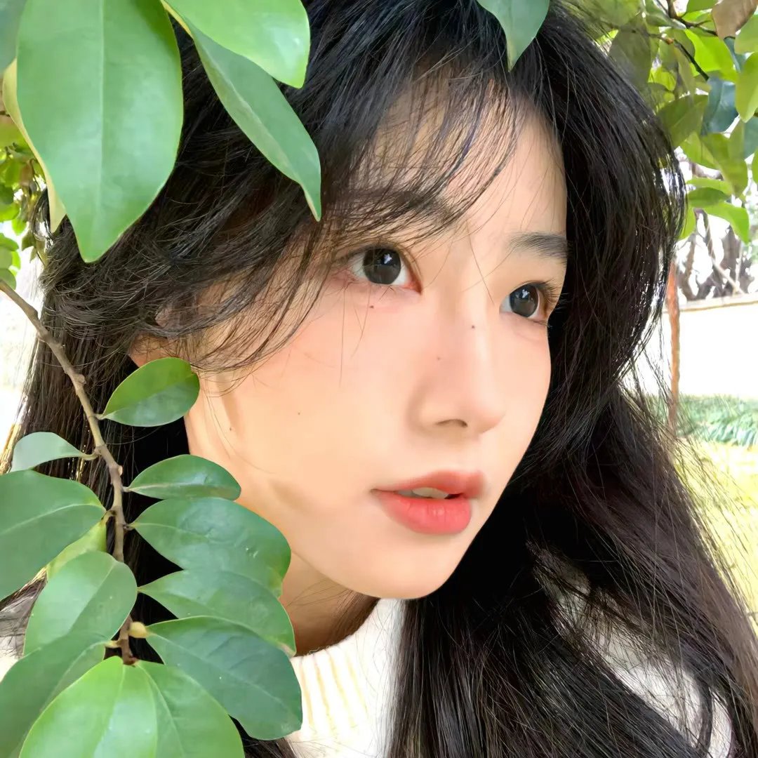 追缉杀人护士 在线观看